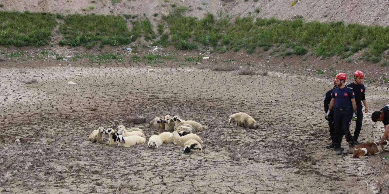 Büyükşehir İtfaiyesi’nden Bataklıkta 2 Saatlik Koyun Kurtarma Operasyonu