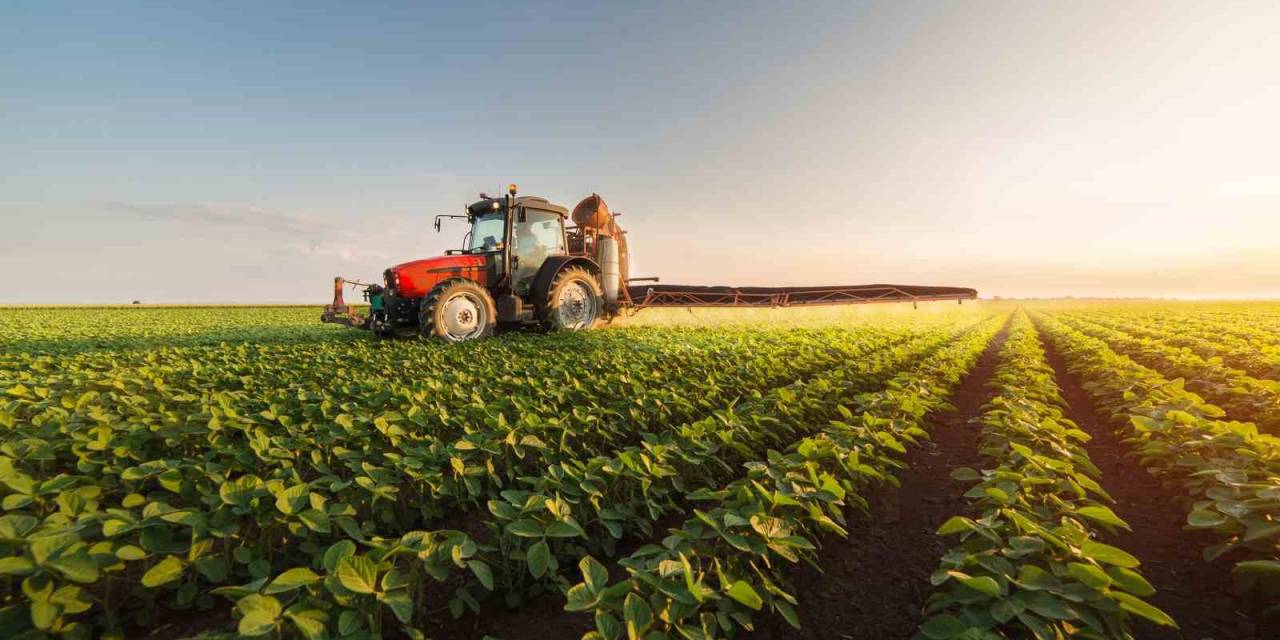 Türkiye’nin Gıda İhracatındaki Yeni Hedefi 50 Milyar Dolar