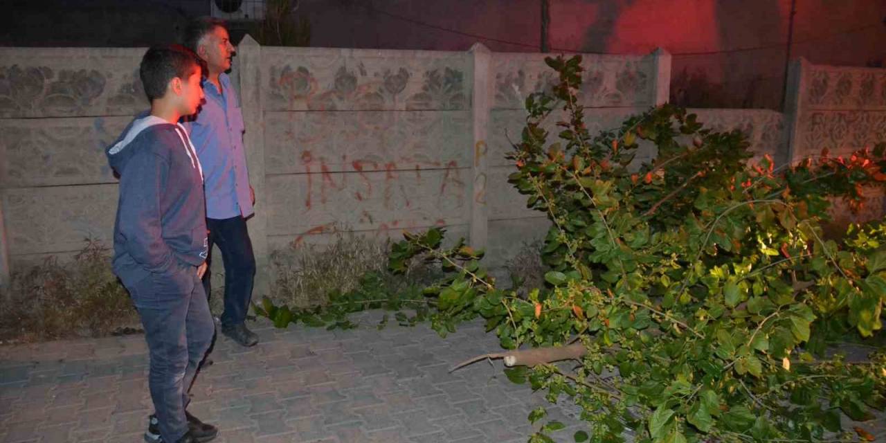 Batman’da Sokağa Devrilen Ağaç İtfaiye Ekipleri Tarafından Kaldırıldı