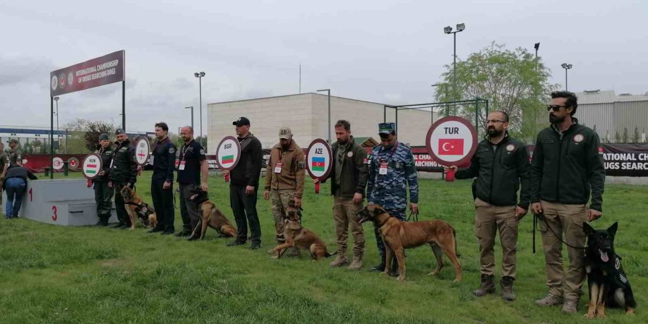 Narkotik Dedektör Köpekler Yarışması’nda Türkiye’yi Temsil Eden ’nobel’ Birinci Oldu