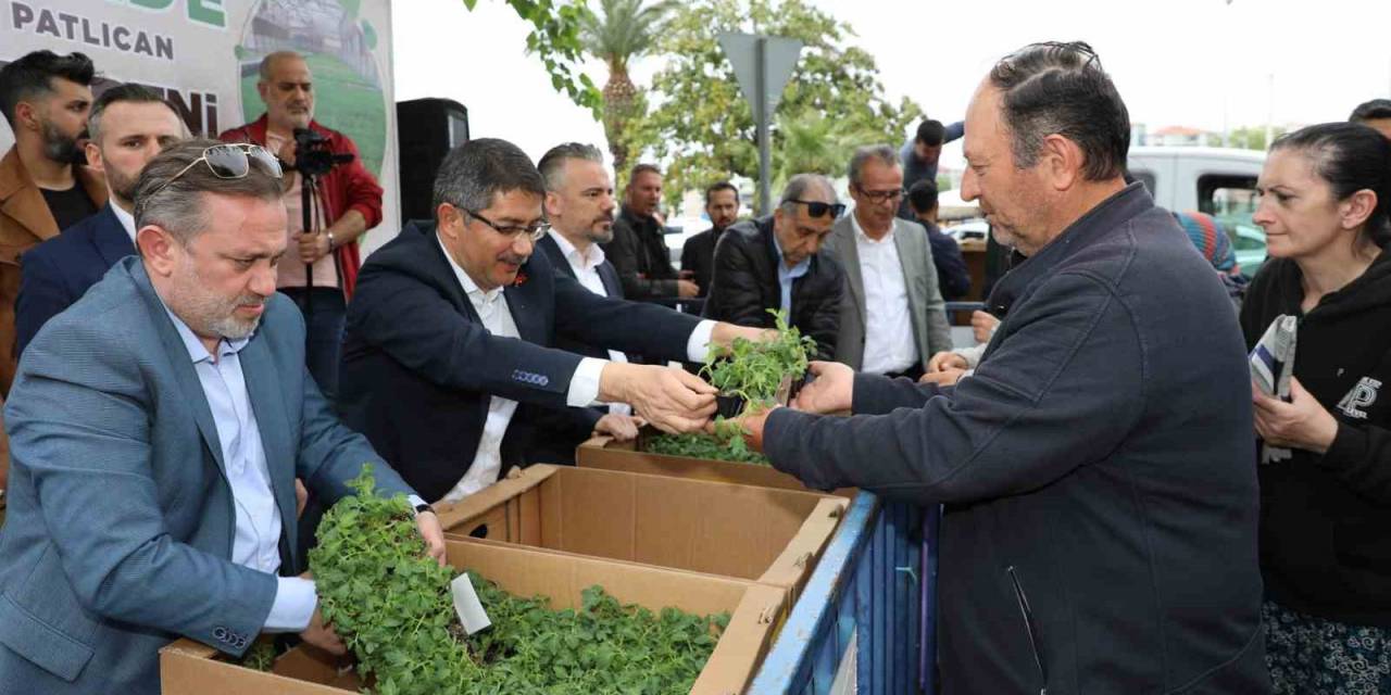 Şehzadeler Belediyesi Vatandaşlara 23 Bin Fide Dağıttı