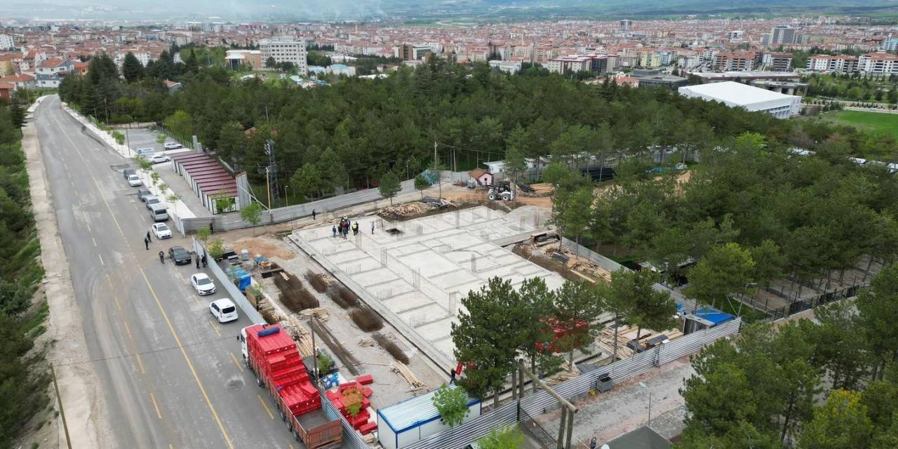 Çorum’da Sokak Hayvanları İçin Hastane Yapılıyor