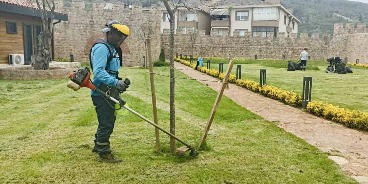 Körfez’de Yabani Otlar Temizleniyor