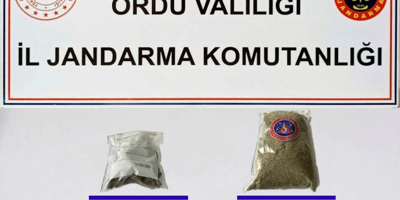 Ordu’da Uyuşturucu Operasyonu: 2 Gözaltı