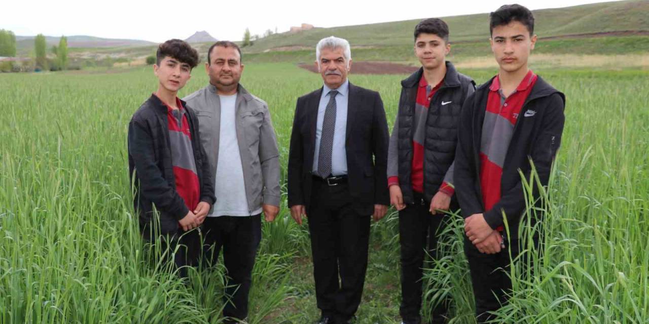 Öğrencilerin Ektiği ‘ata Tohumu’ Boy Verdi