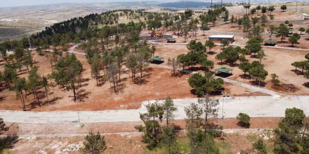 Şanlıurfa’ya Yeni Yeşil Alanlar Kazandırılıyor