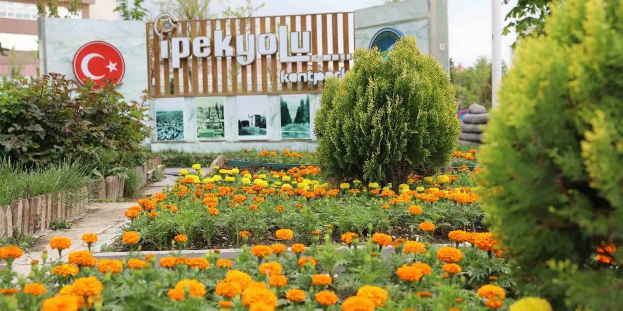 İpekyolu’nda 100 Binlerce Çiçek Toprakla Buluşuyor