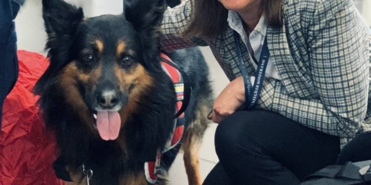 Türkiye’de Deprem Çalışmalarına Katılan Arama-kurtarma Köpeği Aaron Hayatını Kaybetti