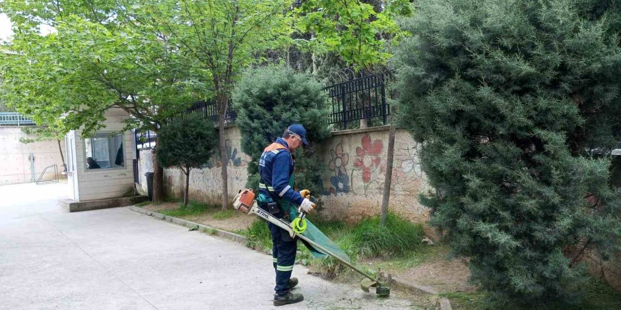 Seçim Öncesi Okul Bahçelerine Bakım