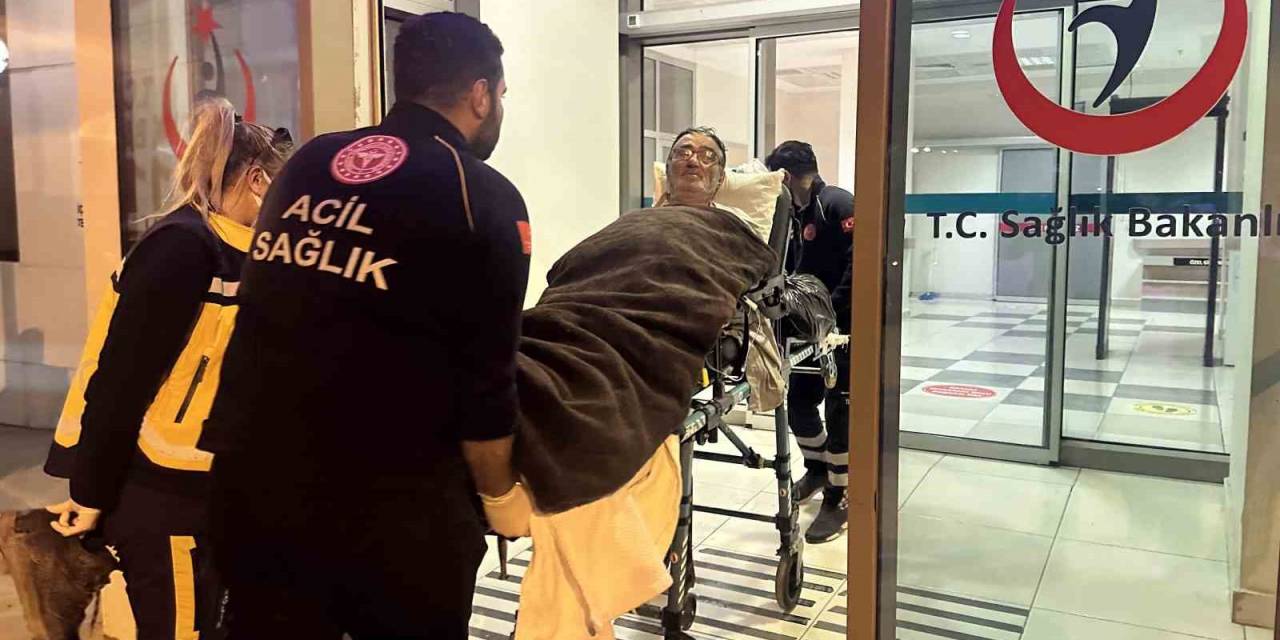 Kaybolduğu Ormanda 14 Gün Boyunca Mağaraya Sığınıp, Ot Yiyerek Hayatta Kaldı