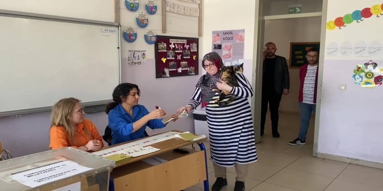 Oy Kullanmaya Omzunda Kedisiyle Gitti