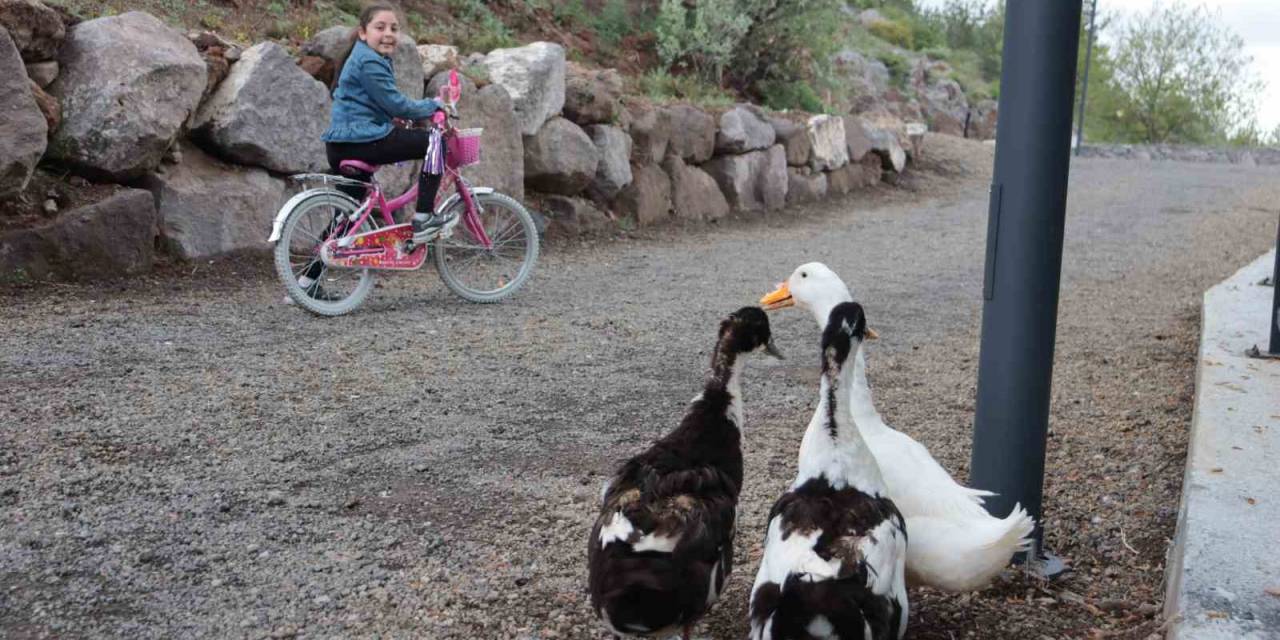 Kayserililerin Yeni Mekanı: Zincidere 100. Yıl Mesire Alanı