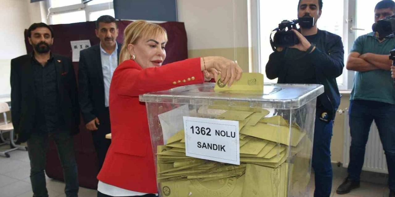 Prof. Dr. Açık, Oyunu Kullandı