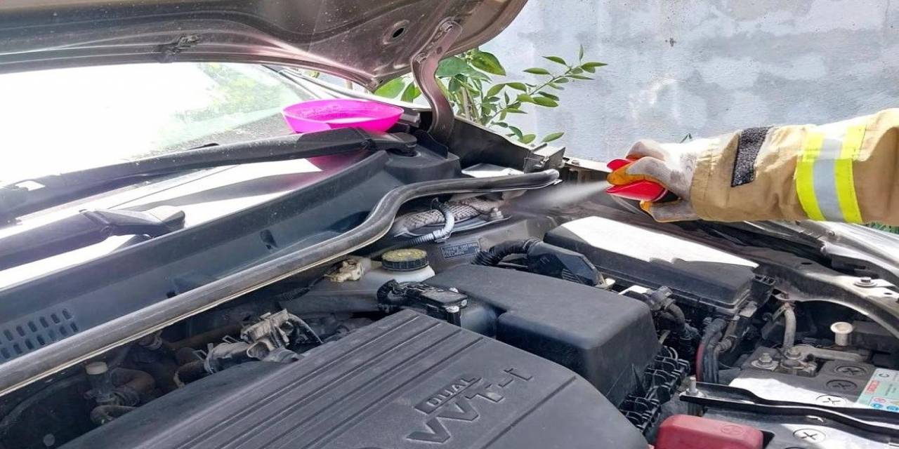 Araç Motoruna Giren Zehirli Yılan Korkuttu
