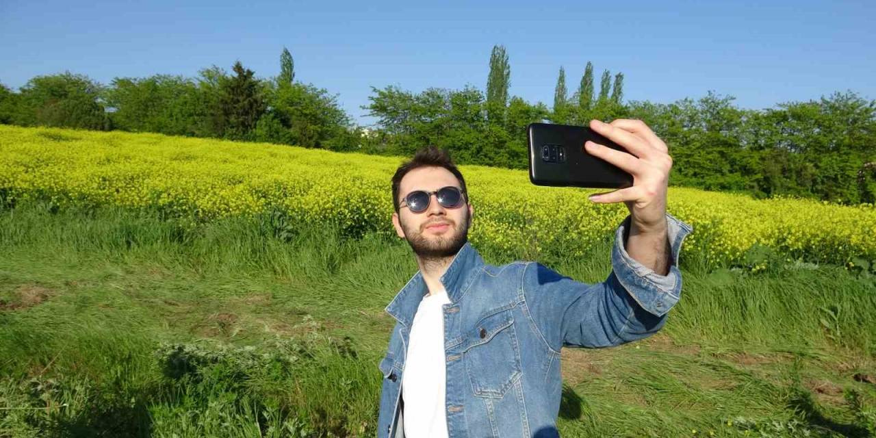 Tarla Adeta Sarıya Boyandı, Görsel Şölen Oluşturdu