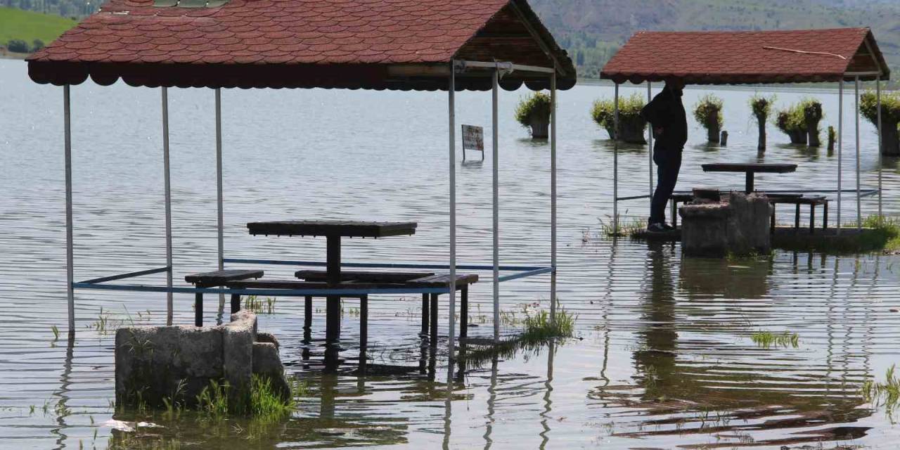 Afrika Çöllerini Aratmıyordu, Şimdiyse Kamelyalar Sular Altında Kaldı