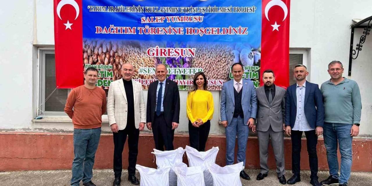 Giresun’da Fındığa Ek Gelir İçin Salep Tohumu Dağıtıldı