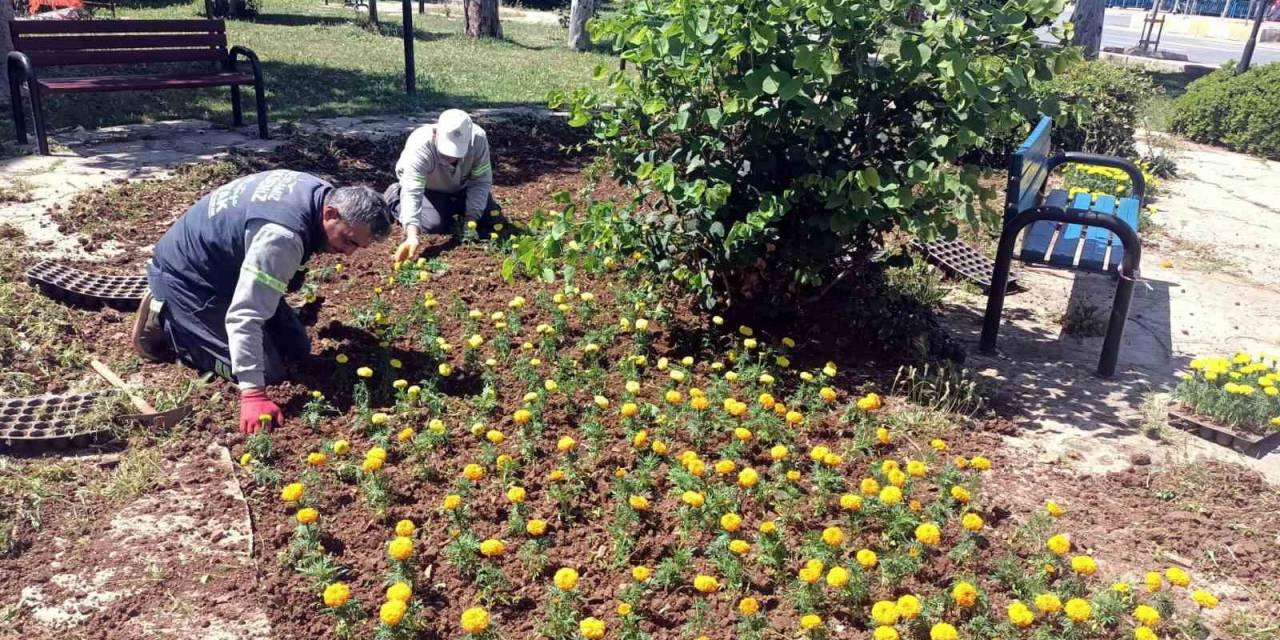 Akdeniz’de Yeşil Alanlar Yenileniyor
