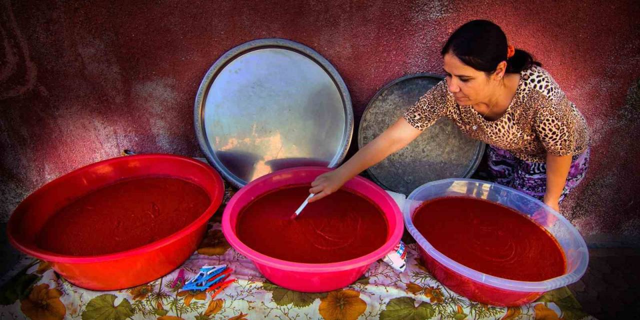 Büyükşehir Salça Üretim Tesisi Fizibilite Projesi’ne Destek