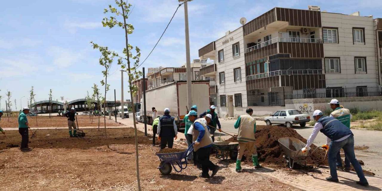 Haliliye’de Parklar Güzelleşiyor