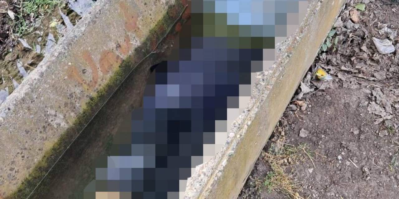 Adana’da Sulama Kanalında Kadın Cesedi Bulundu