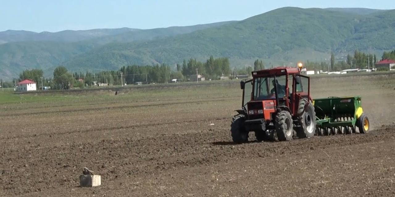 Muş’ta "karabuğday" Tohumları Toprakla Buluştu