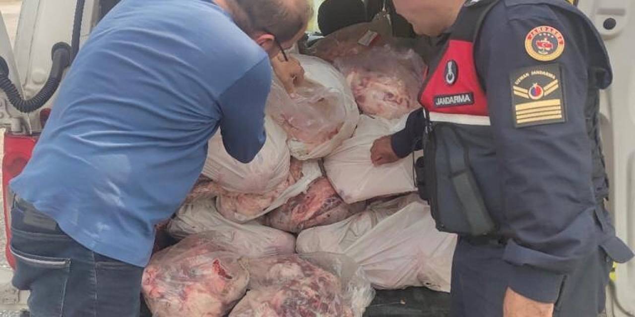 Köyceğiz’de Kaçak Hayvansal Ürünler Ele Geçirildi