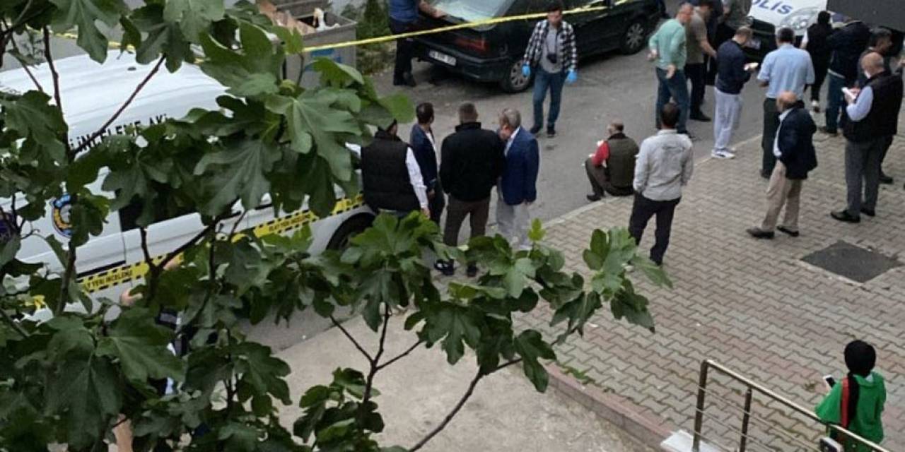 Pendik’te Çöpte Çok Sayıda Kesilmiş Kimlik Bulundu