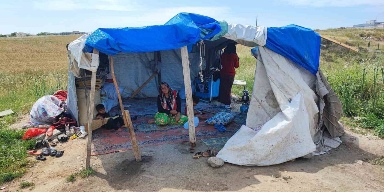 Çocuklarının Bakmadığı Yaşlı Kadını Çadırda Da Barındırmıyorlar