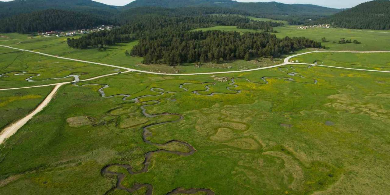 Bolu’nun Her Mevsim Ayrı Güzel Yaylası: Sarıalan