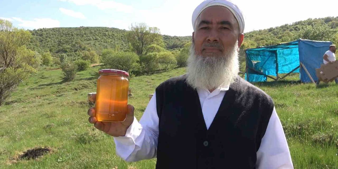 Arıcıların Yeni Gelir Kapısı Organik Bal: Kilogramı 400 Lira