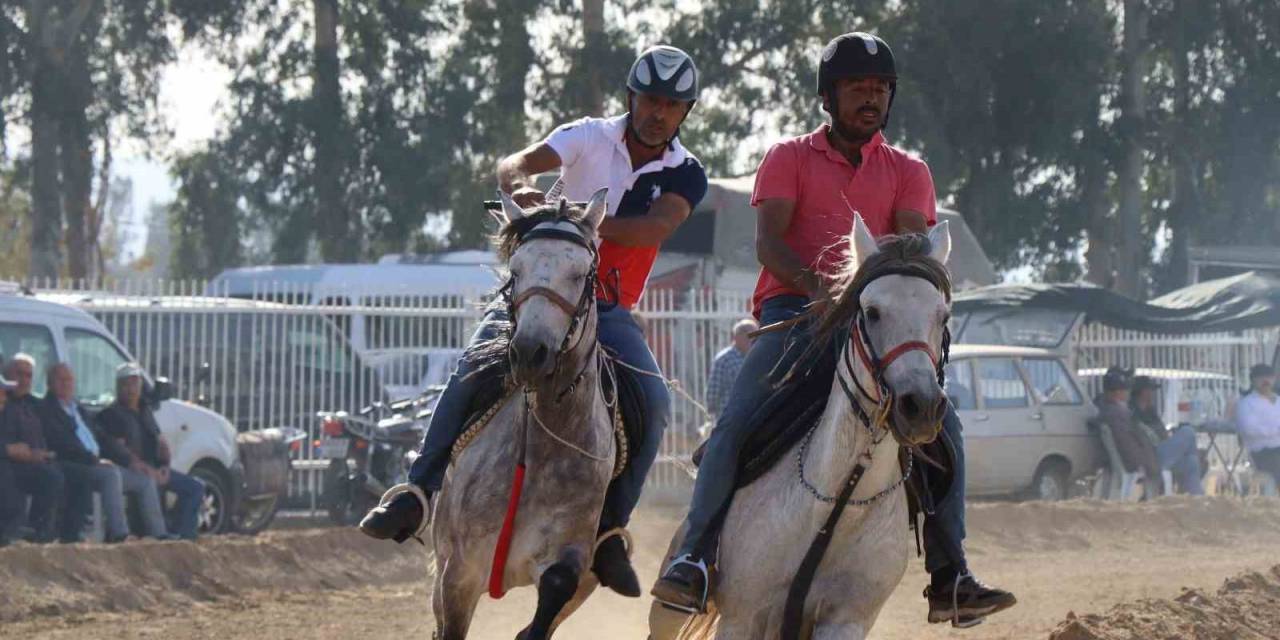 Yenipazar’da Rahvan At Yarışı Heyecanı Yaşanacak