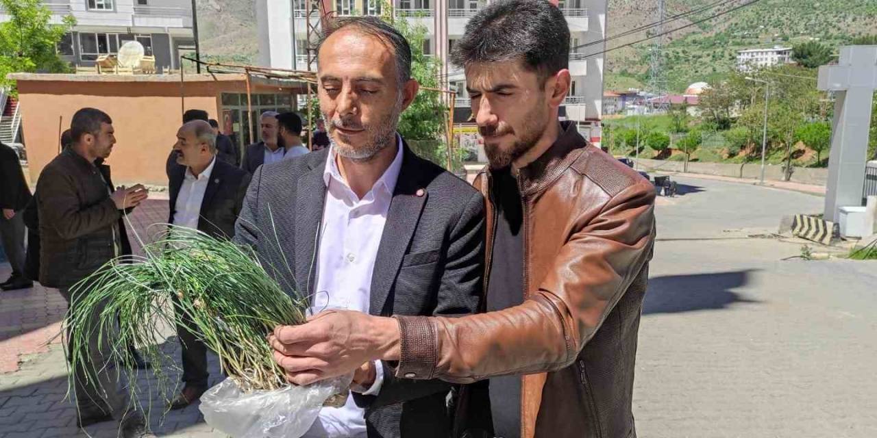 Vatandaşlar Zuzubak Otunun Coğrafi İşaretle Tescillenmesini İstiyor