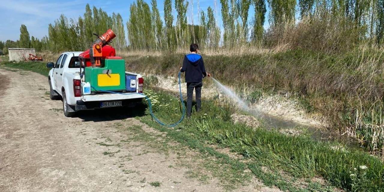 Ereğli Belediyesi Sinek Ve Haşere İle Mücadelesini Sürdürüyor