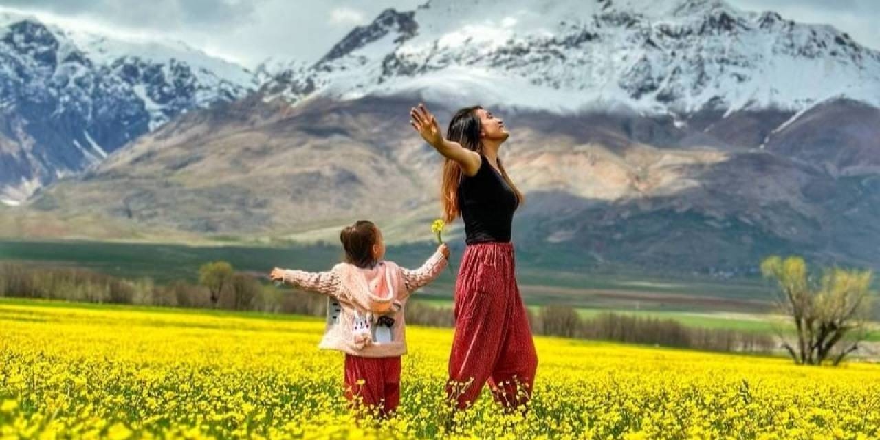 Hardal Çiçekleri Tunceli’yi Sarıya Boyadı, Ortaya Eşsiz Manzaralar Çıktı