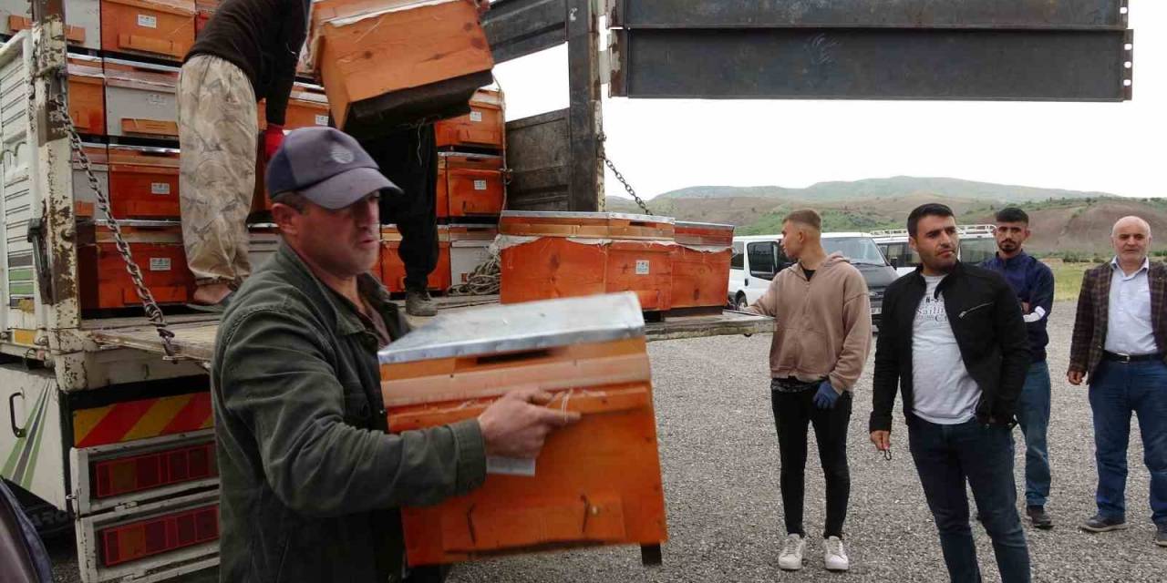 Siirt’te 11 Milyon 221 Bin Değerinde 5 Bin 900 Arılı Kovan Dağıtımı Yapıldı