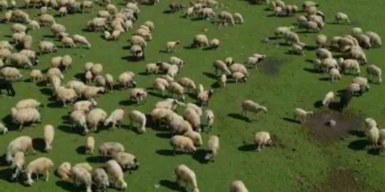 Bingöl’de Bahar Manzaraları Dron İle Görüntülendi