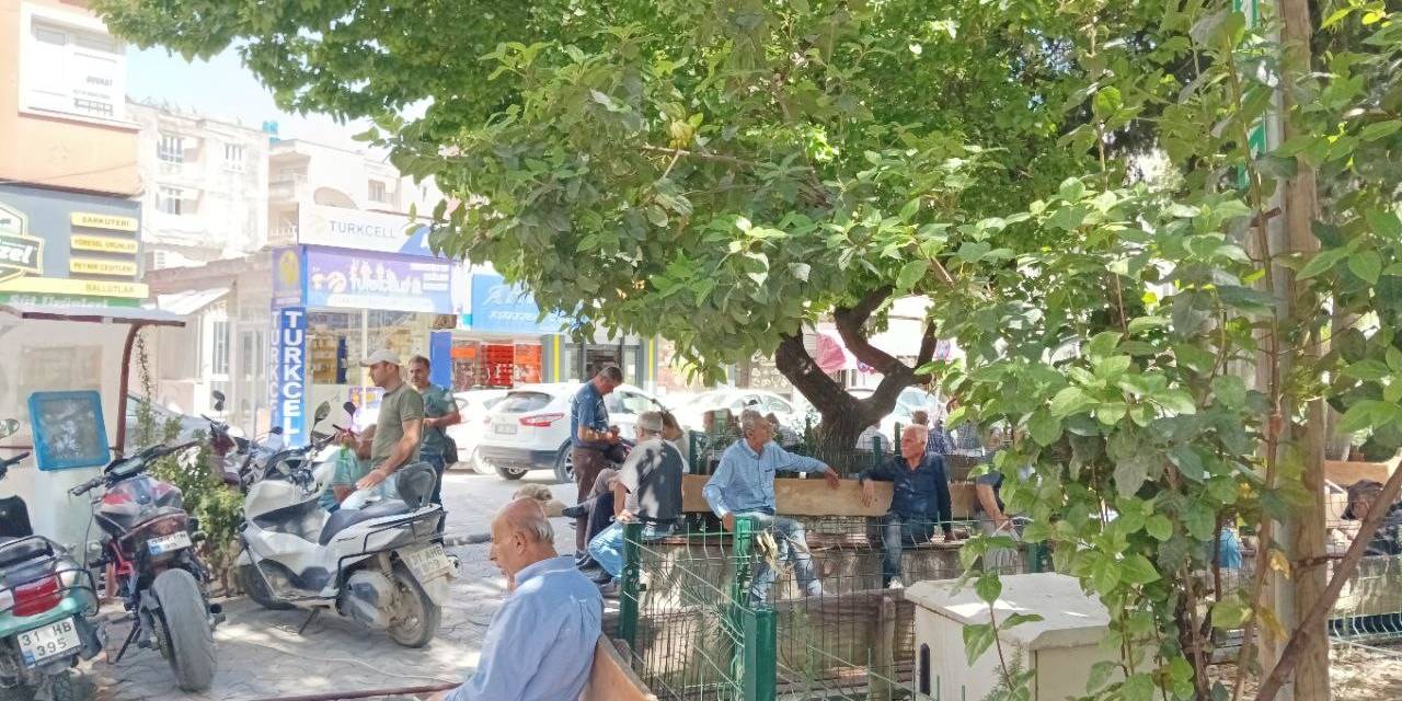 Hatay’da Sıcak Hava Etkili Oluyor