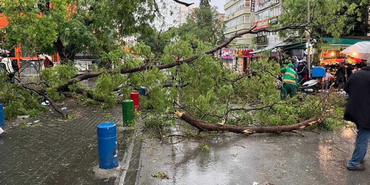 Başkentte Fırtına Ağaçları Devirdi, Yol Kapandı