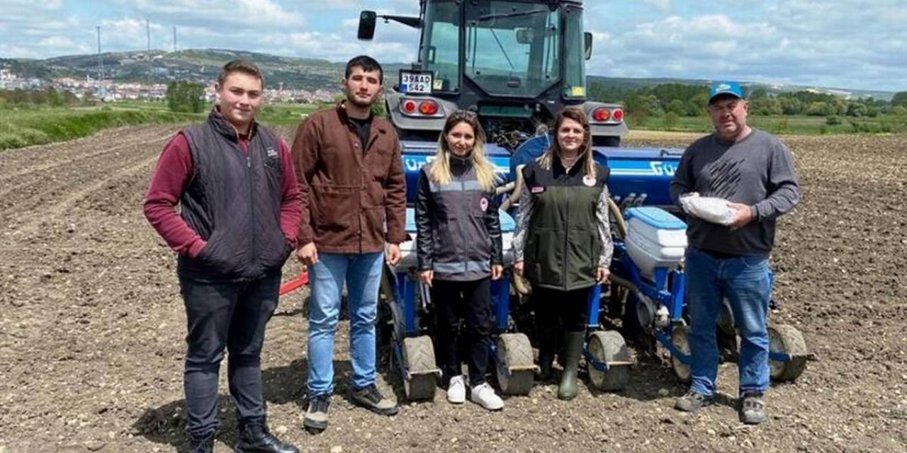 Kırklareli’de Yerli Ve Milli Ayçiçeği Toprakla Buluştu