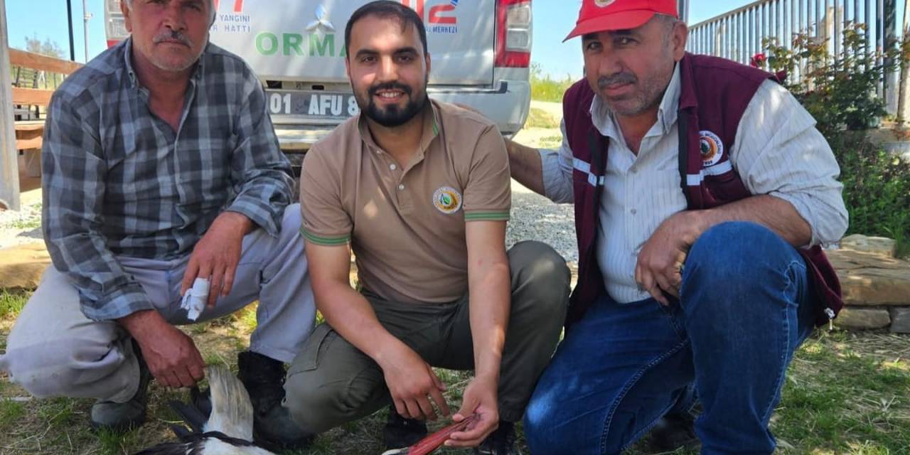 Ormancıların Bulduğu Yaralı Leylek Tedavi Altına Alındı