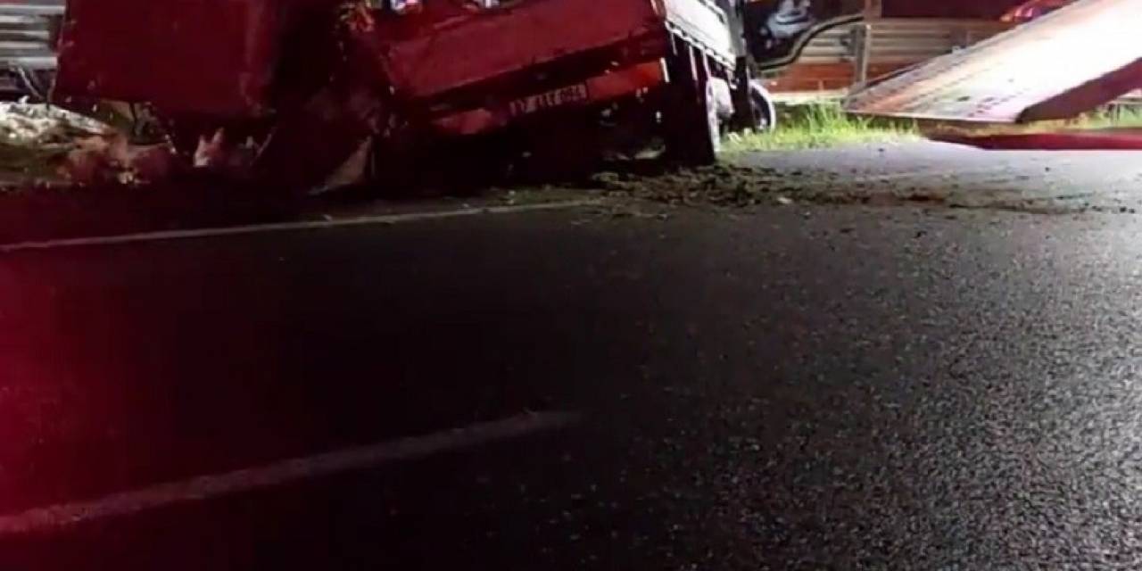 Tavuk Yüklü Kamyonet Devrildi: 1 Ölü