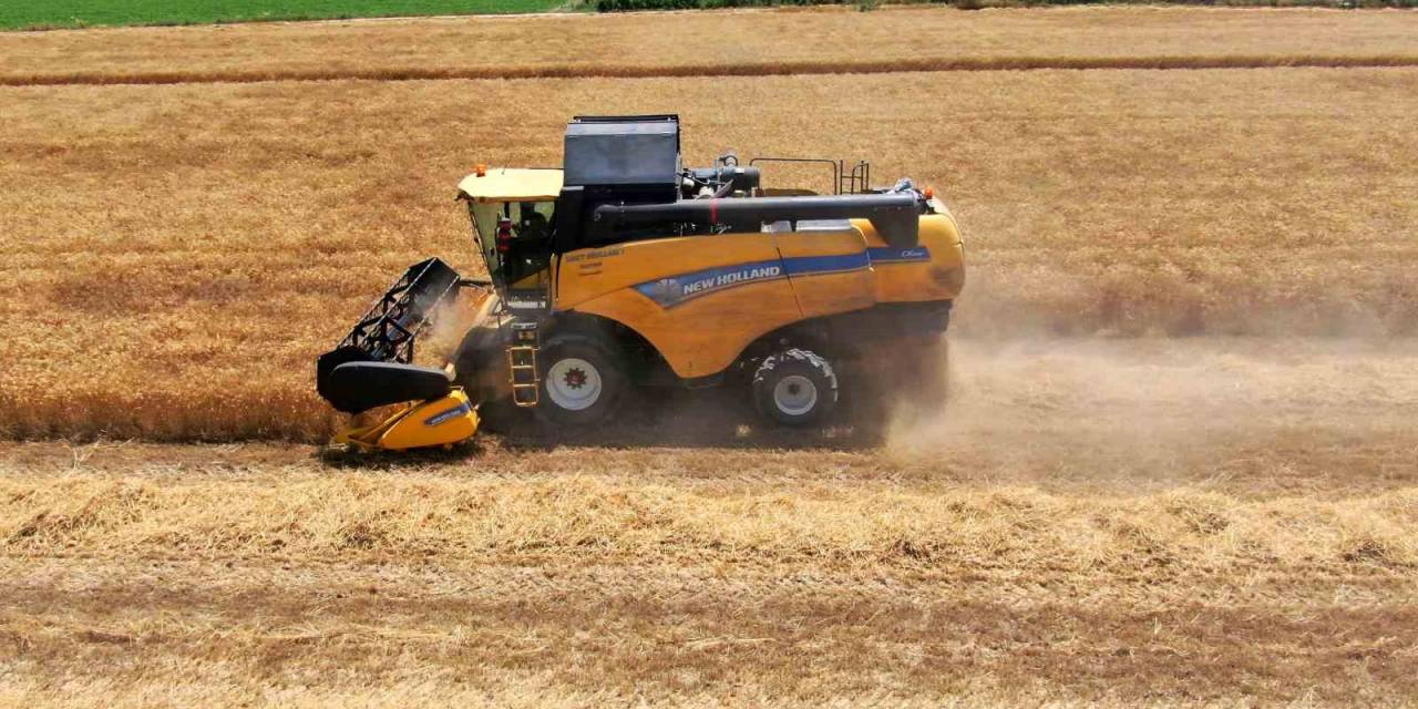 Rekolte Yüksek Olacak, Stratejik Ürün Buğdayda Hasat Başladı