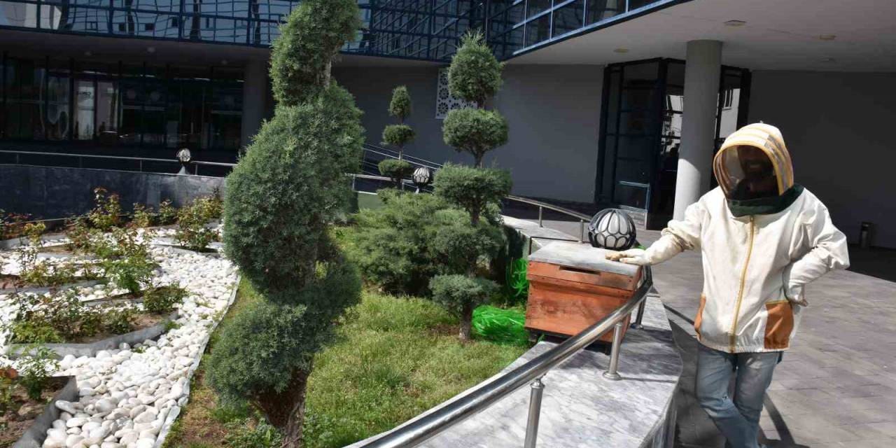 Belediyenin Bahçesine Konan Oğul Paniğe Yol Açtı