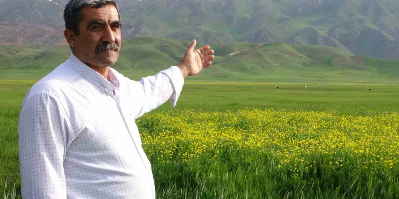 Yüksekova’ya Gelen Leyleklere Türkülü Karşılama