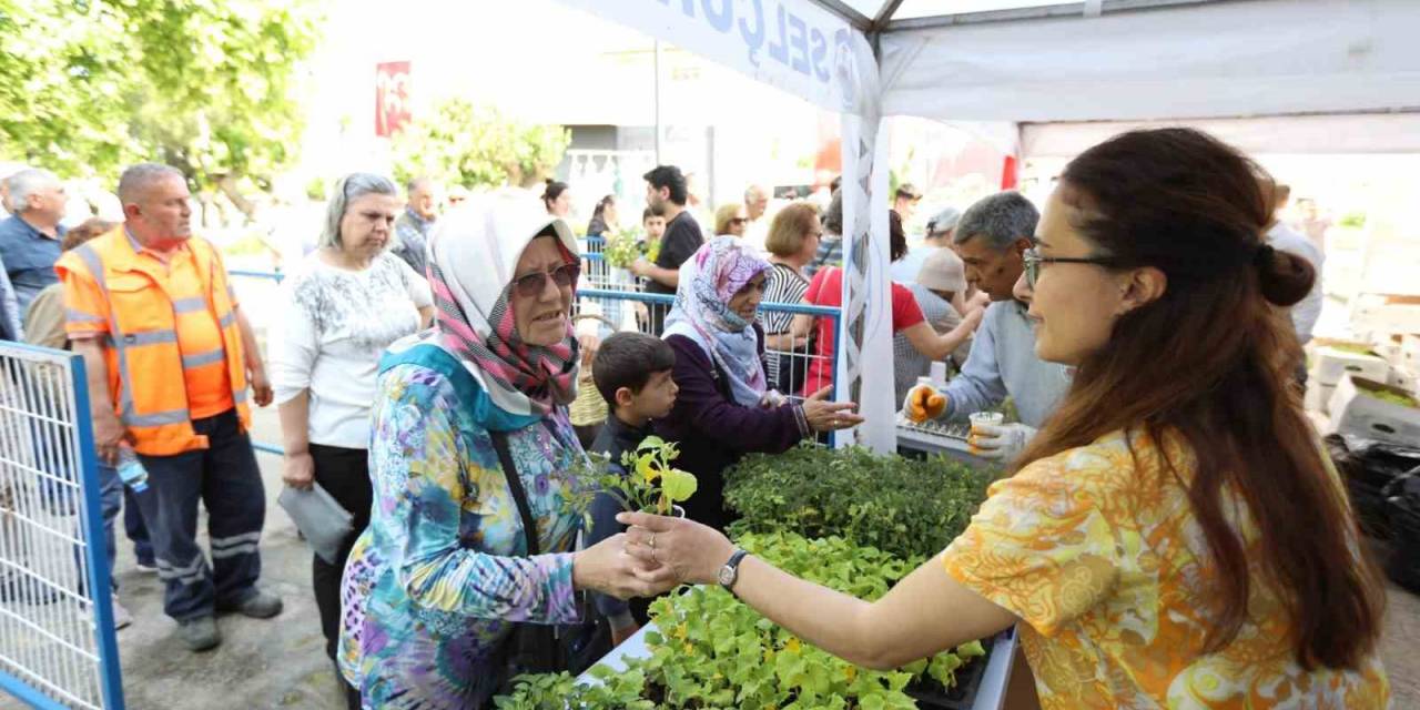 Selçuk’ta Dağıtılan Fidelerle Sofralar Bereketlenecek