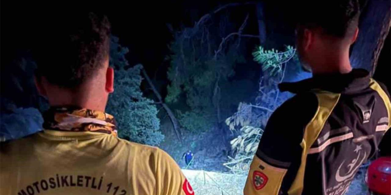 Gökova Turnalı Yolunda Araç Uçtu