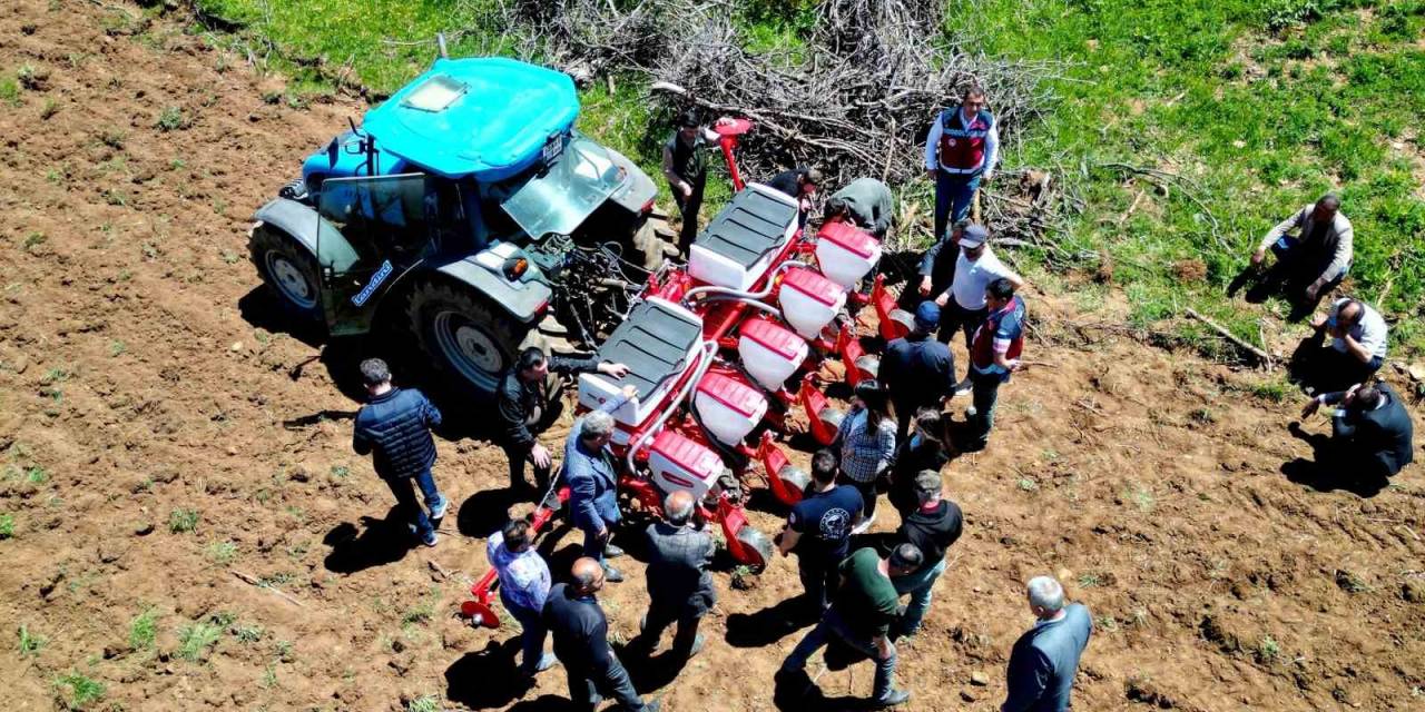 Yedisu Horoz Kuru Fasulyesi Üretimi 10 Kat Arttı