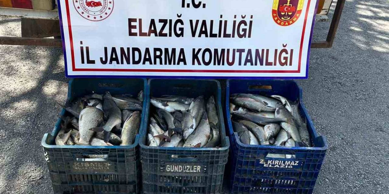 Elazığ’da Kaçak Balık Avı Yapan Şüpheli Yakalandı