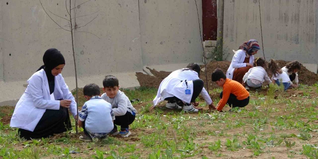 Minikler Fidan Dikti, Büyükler Halay Çekti